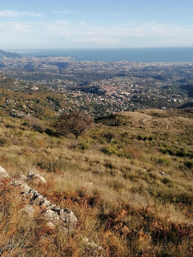 Studio Au Milieu D Une Oliveraie Le Mas De La Huppe توريتس سور لوب المظهر الخارجي الصورة